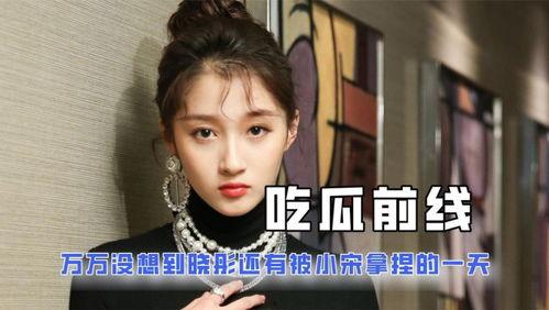 娱乐圈吃瓜番茄小说,瓜田里的甜蜜陷阱  第2张